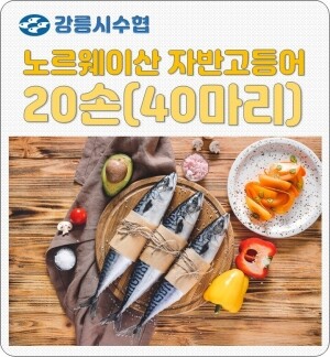 강릉시수협판매장,강릉시수협 자반고등어(노르웨이산)20손 40마리