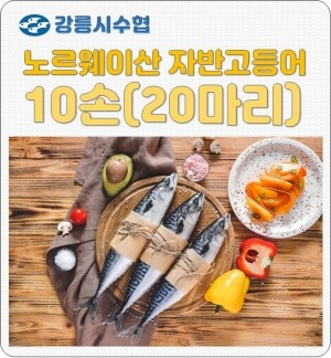 강릉시수협판매장,강릉시수협 자반고등어(노르웨이산)10손 20마리